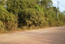 ที่ดินหลังแมคโครหนองคาย