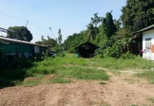 ขายที่ดินติดริมแม่น้ำโขง