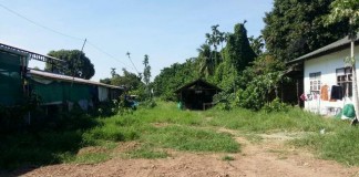 ขายที่ดินติดริมแม่น้ำโขง