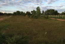 ขายที่ดินแถวบึงหนองคาย