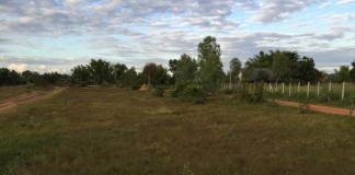 ขายที่ดินแถวบึงหนองคาย