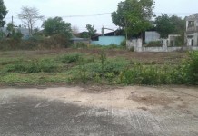 ที่ดินแปลงสวย 200 ตร.ว.