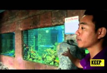 พิพิธภัณท์สัตว์น้ำ หนองคาย