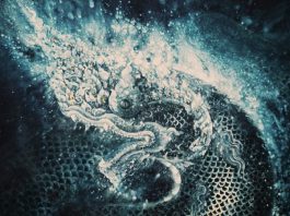 ตำนานพญานาค ความศรัทธา ลุ่มน้ำโขง หนองคาย