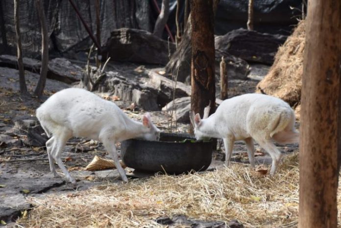 61a4bb1305c3b2f7d04f4ccb12bc602205543db9af3bfa9abe7d2137ffb36d8d