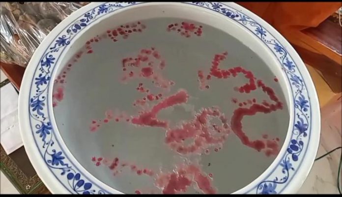 a4f6cf31a66f8587c6b66ff0c260faf77d122d70199924aa7e2159517e160540