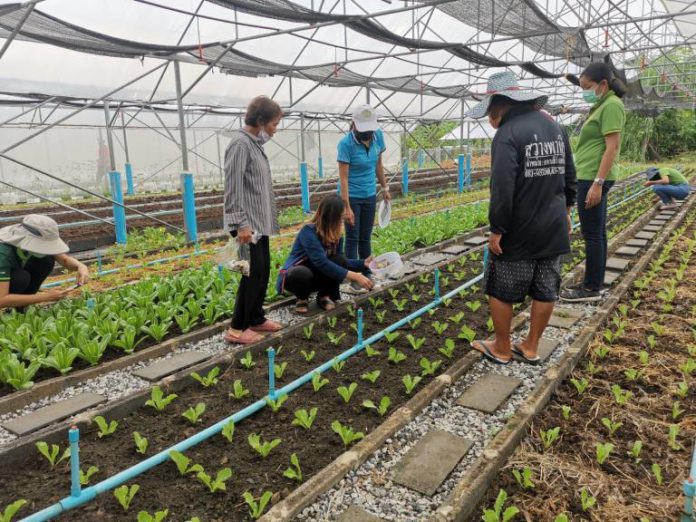 20d416ed07842ee67d1dcf536c0713bb78e6ef537207b6d3d7193f621519d8d3