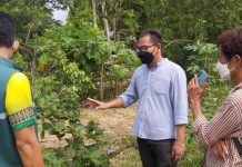 หนุ่มชัยภูมิกลับบ้านปลูกแบล็คเบอร์รี กว่า 2,000 ต้น ผลิตผลไม่พอขาย
