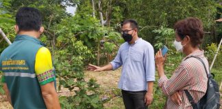 หนุ่มชัยภูมิกลับบ้านปลูกแบล็คเบอร์รี กว่า 2,000 ต้น ผลิตผลไม่พอขาย