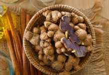 กระชายดำ สมุนไพรดูแลสุขภาพ