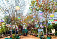 พิพิธภัณฑ์ชุมชนมีชีวิต บึงกาฬ