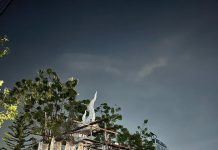 ด้วยแรงศรัทธา บ๊วย-เชษฐวุฒิ วัชรคุณ สร้างองค์พญานาค 9 เศียร