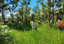 นายวิรัตน์ ศรีมงคล: ประธานคณะกรรมการตรวจสอบข้อเท็จจริงในกรณีกลุ่มอนุรักษ์น้ำซับคำป่าหลายคัดค้านโครงการผลิตไฟฟ้าพลังงานลม